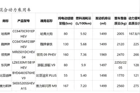 这74个型号的乘用车将可减免车船税或免征购置税！具体名单→图片