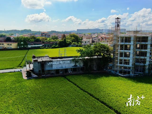 深读｜一座山，如何激活中山全域农文旅