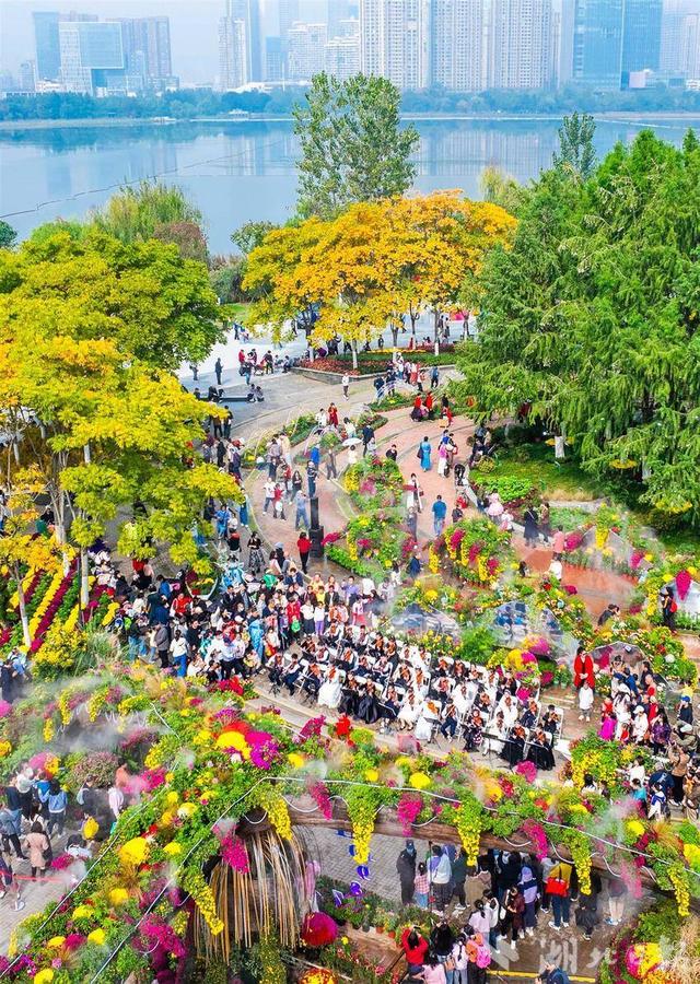 现场火爆！武汉今秋最大花展开幕
