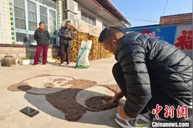 地为画布麦作墨 山东“90后”扎根乡村“追梦”图片