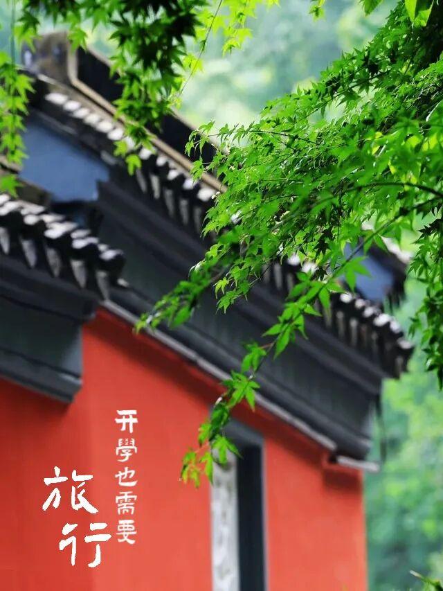 欢迎新同学！！