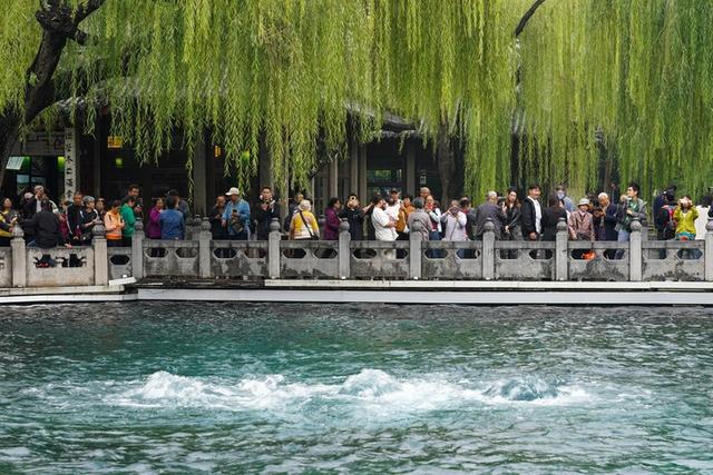 千泉竞涌，在济南与泉不期而遇