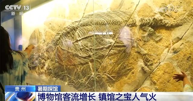 “文博热”为暑期文旅市场“增色添彩” 多地博物馆客流攀升