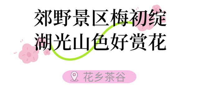 气温直冲20℃！第一波赏花的人已出发