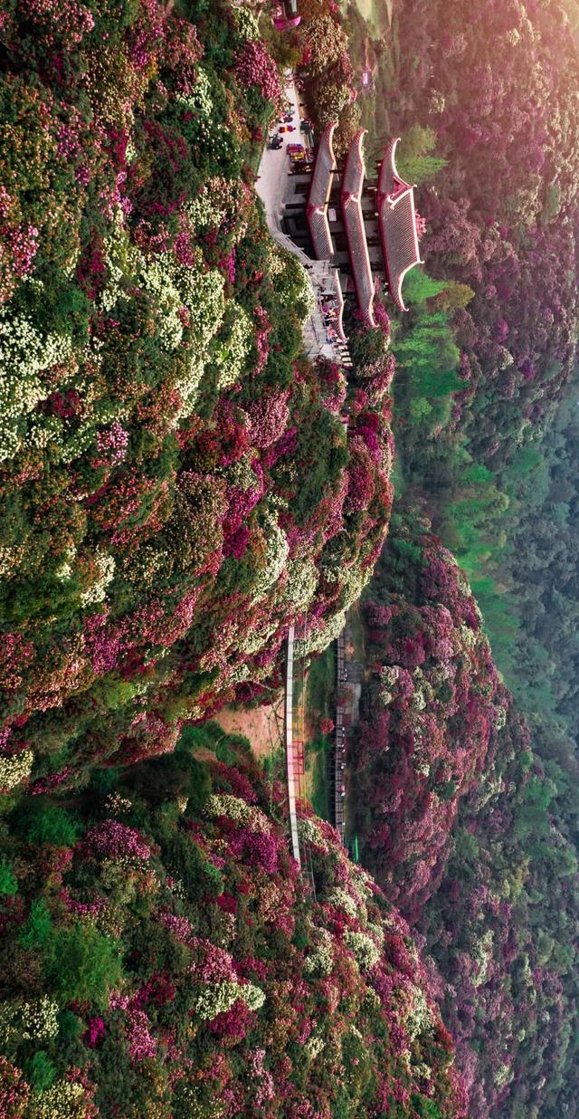 洞见贵州，从织金洞开始