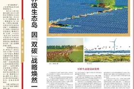 《解放日报》专题报道！图片