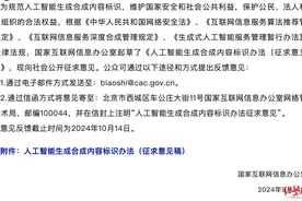 AI生成内容以假乱真如何甄别？网信办新规公开征求意见，专家：防范AI造假风险图片