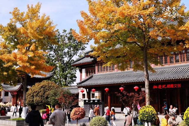 重阳登高栖霞山！玩心不“老”很嗨皮~