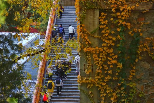 北京：颐和园的秋色