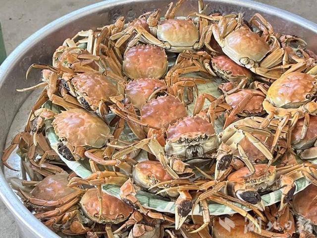 话说蕲春彭思丨好景 好吃 好玩