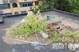 问政回声丨小区楼顶堆积砂石致住户家中漏水 街办协调后已解决图片
