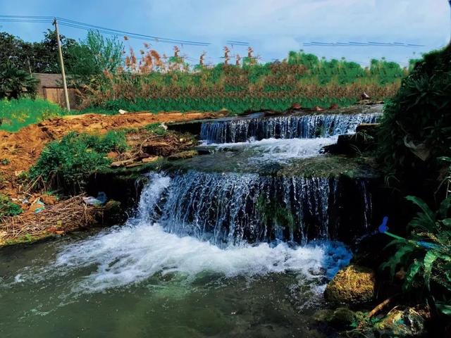 南京记忆|寻幽浦口老山之“犀牛望月”