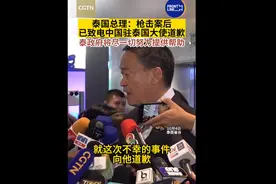 身份核实，年仅34岁！“厕所隔间外倒着阿姨和另外两个女性...”死伤者亲友最新发声！泰国总理致电中国大使道歉图片