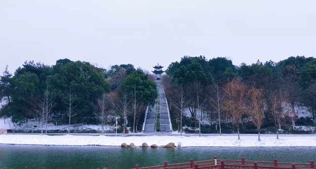 听雪落枝头，看松滋成画
