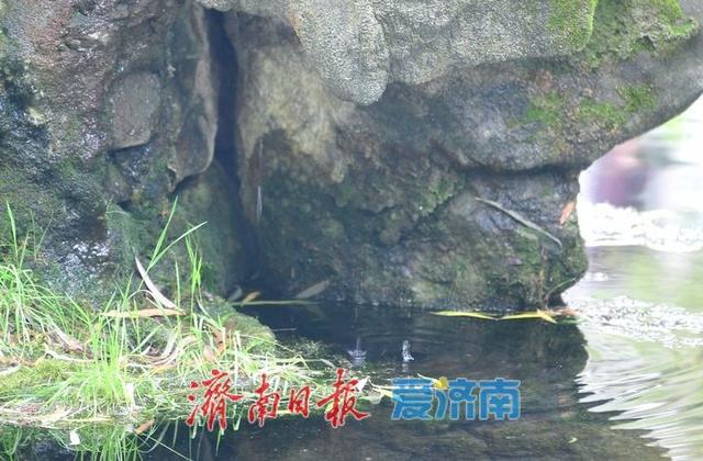 一年四季 泉在济南丨趵突泉水位逼近29米线，济南月牙泉“滴水欲涌”引期待