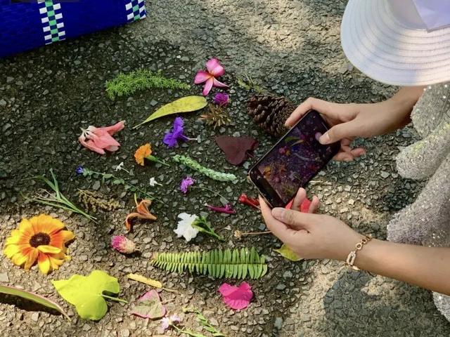 最美松湖 | 烦恼No，捡秋Go！来这里一键切换治愈模式