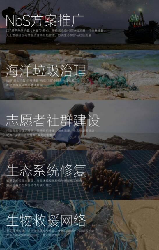 “海洋合伙人”计划正式启动 企业捐年收入1%守护深蓝梦想