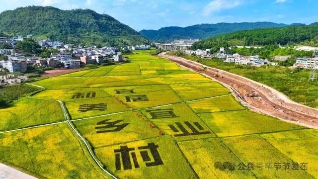 毕节不止有“悬崖村”，这些田园风光更美！