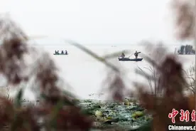 “京津冀最美湿地”河北衡水湖金秋开渔图片