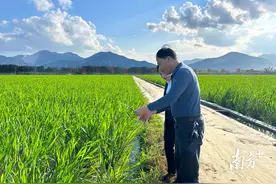 中国银行揭阳分行全力做好春耕备耕金融服务图片