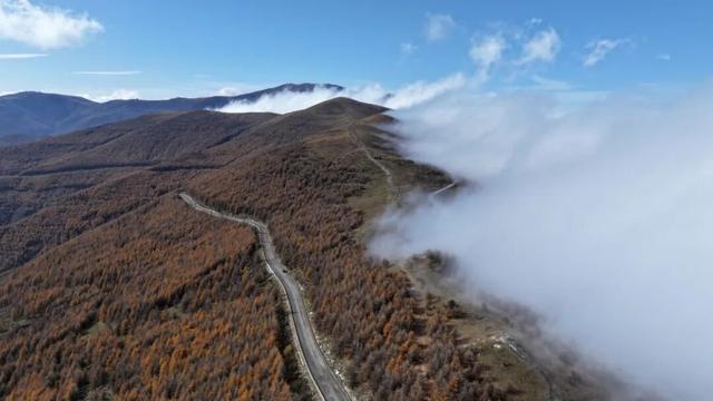 金秋五台山 醉美山色入画来