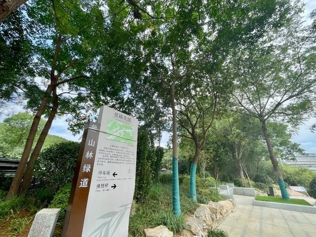 全龄友好、绿色生态、文化融合！揭秘济南千佛山—佛慧山无障碍绿道五大亮点