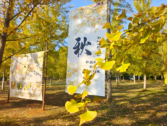 邂逅如画江西的小“杏”运