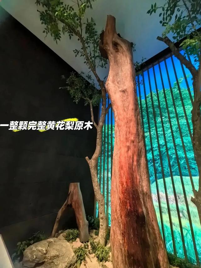 到底哪家博物馆排倒数第一，这届网友快吵疯了