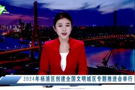 2024年杨浦区创建全国文明城区专题推进会举行视频封面