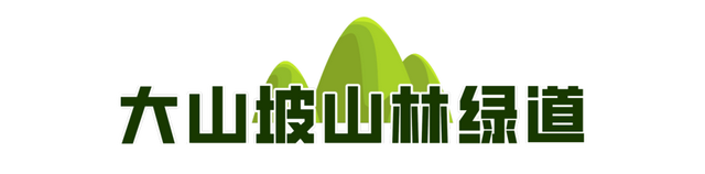 一城山色·泉城绿道 | 高新区山林绿道打造绿色生活新地标！