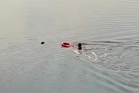 点赞！眉山外卖小哥跳桥勇救落水者被奖励5万元，已被提拔为储备站长图片