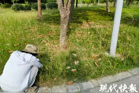 “多样”故事再扩容！貉、鼬獾首现，无锡经开“新好友”添加成功图片