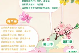 收好这份赏花地图！来江门的“顶流花海”当“C位”女主图片