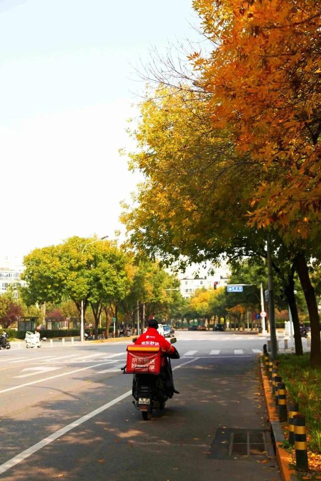 惊艳！身边的北京秋景“天花板”来了！