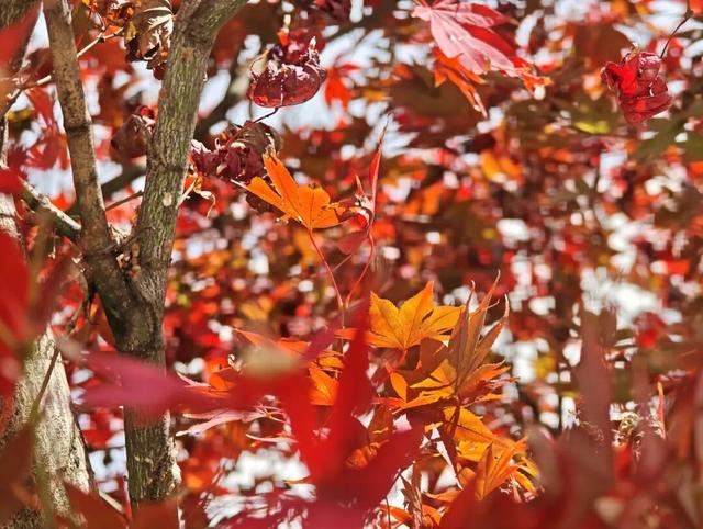 初冬，来安宁玉龙湾这个暖洋洋的图书馆坐一坐吧～
