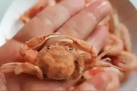 热闻|女子喝虾汤遭异物卡喉，就医后竟取出螃蟹壳！医生提醒：这种“土法子”不可乱用图片