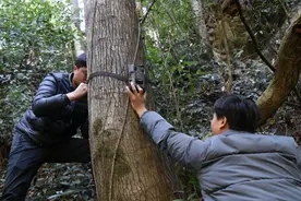 熊出没！江西一地拍到清晰视频图片