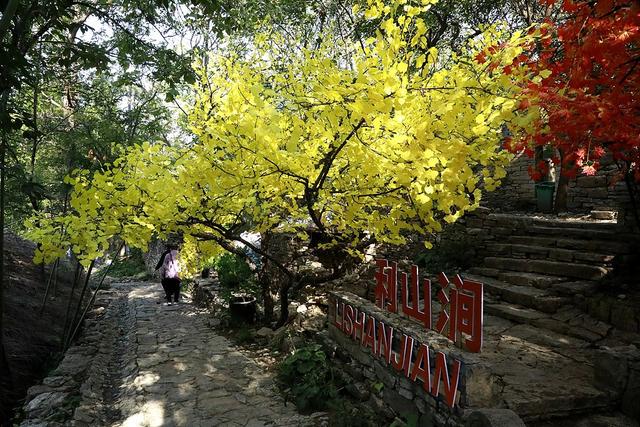 临沂：费县利山涧旅游度假区