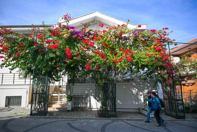 土耳其布尤卡达岛掠影