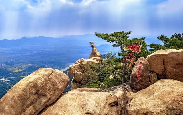 这个元旦，我在山东这样玩