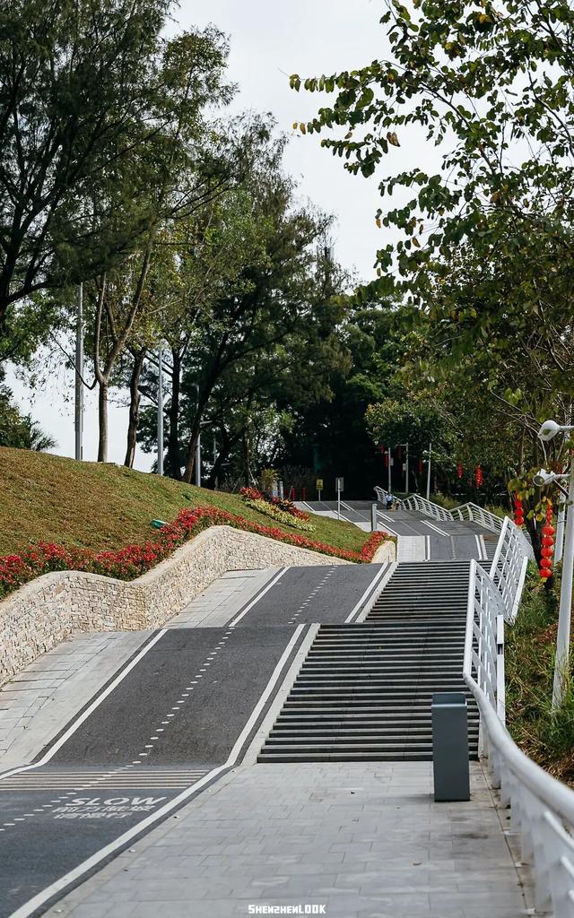 “看牛看海看夜景，深圳骑行路线精选”