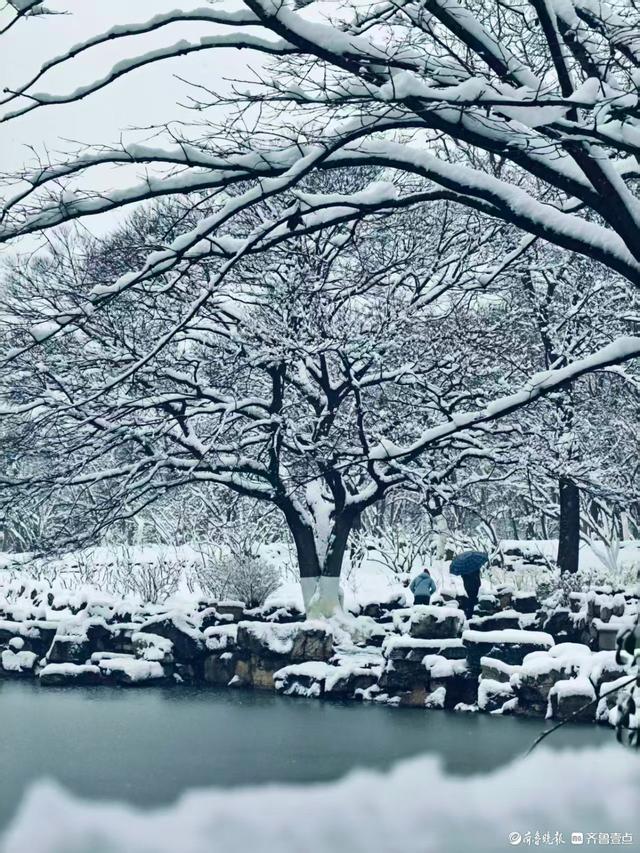 雪中泉城公园美不胜收