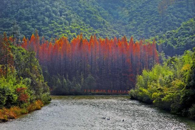 余杭初冬藏不住！这些秘境绝美~
