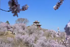 北京园博园春色烂漫图片
