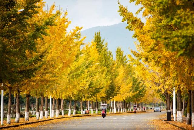 别再瞎找了！这张“黄金版图”全是惊喜