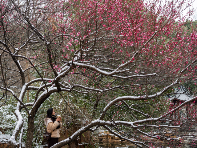 马鞍山这片花海，免费又出片！