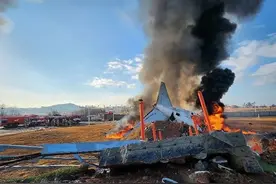 刚刚！韩国一客机着陆时撞墙起火，已致28人死亡图片