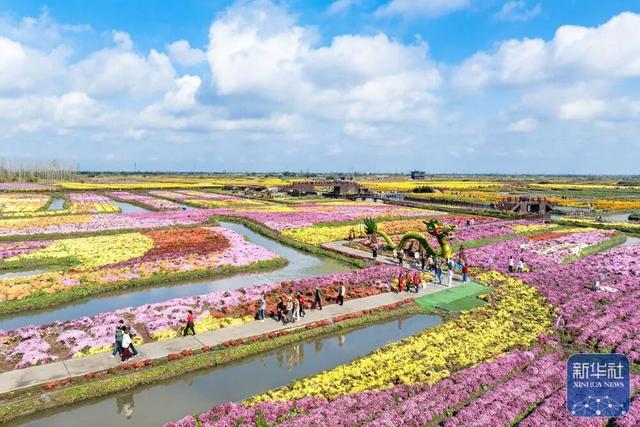 秋声渐杳 斑斓成诗