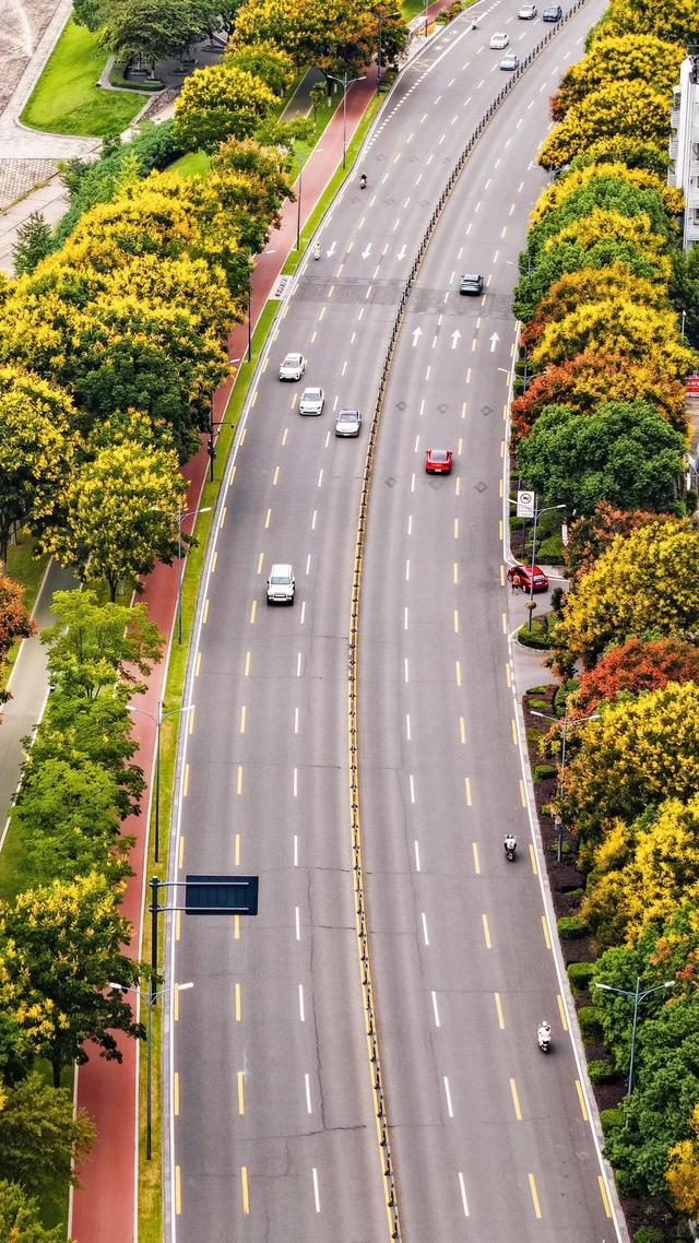 速冲!到这里get明星同款秋日大片!