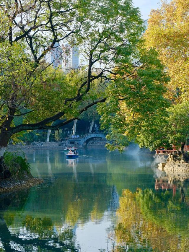 周末N次方|打开这份江汉赏秋图鉴→